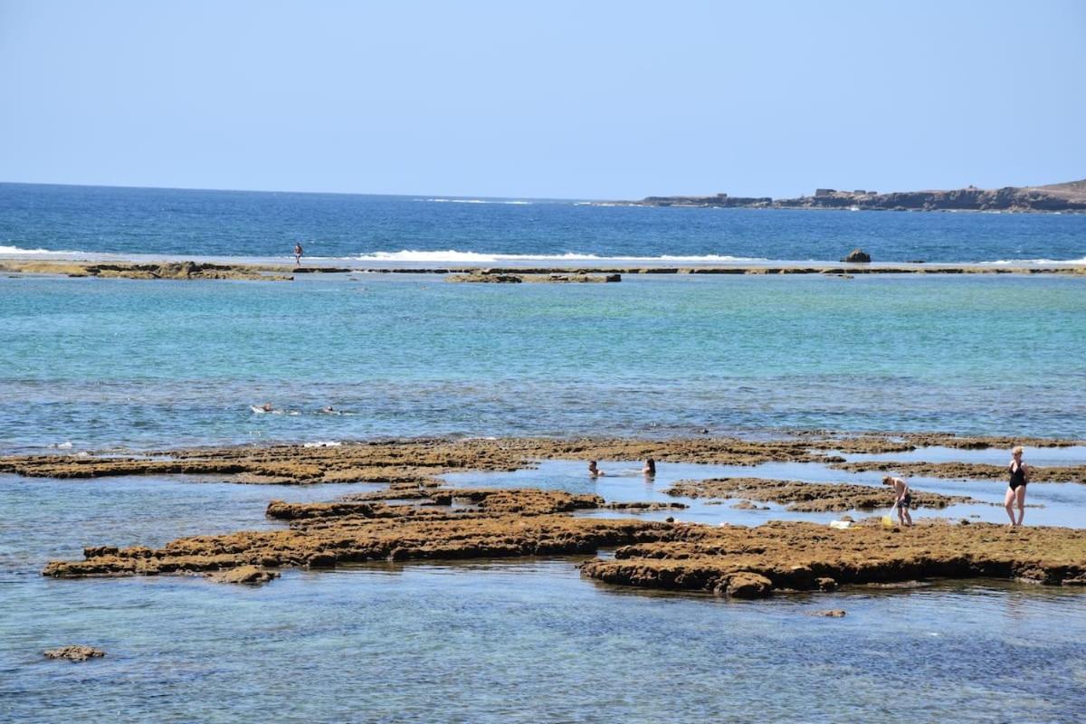 ラスパルマス・デ・グランカナリアGreen Water At The Beachアパートメント エクステリア 写真